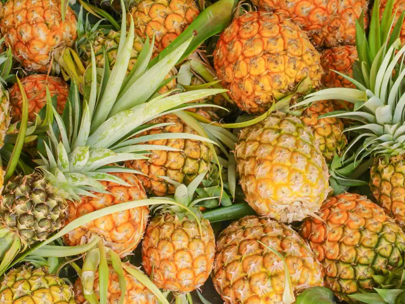 Dứa Tam Dương - Đặc sản nức tiếng Tam Dương