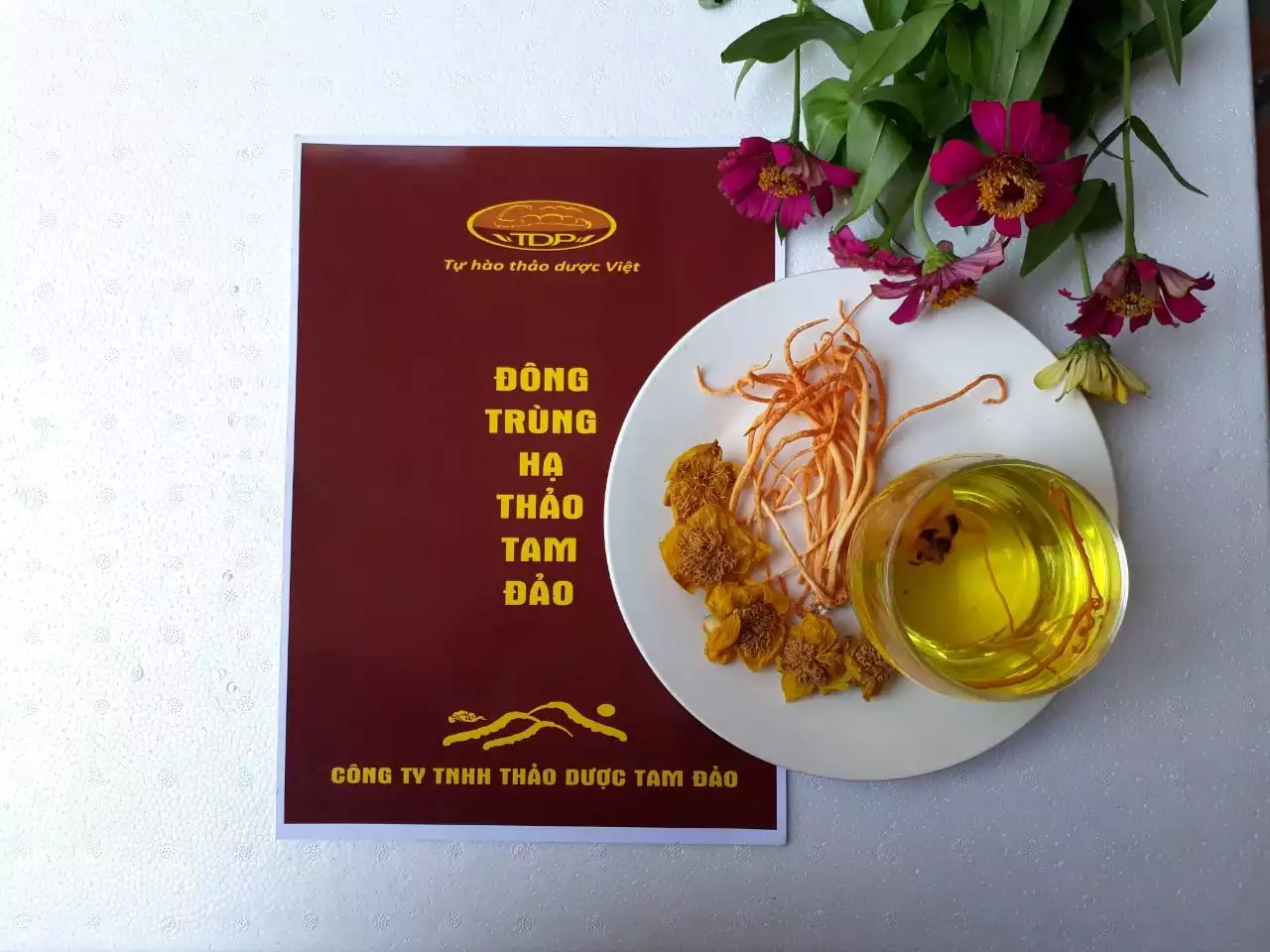 Đông trùng hạ thảo Tam Đảo