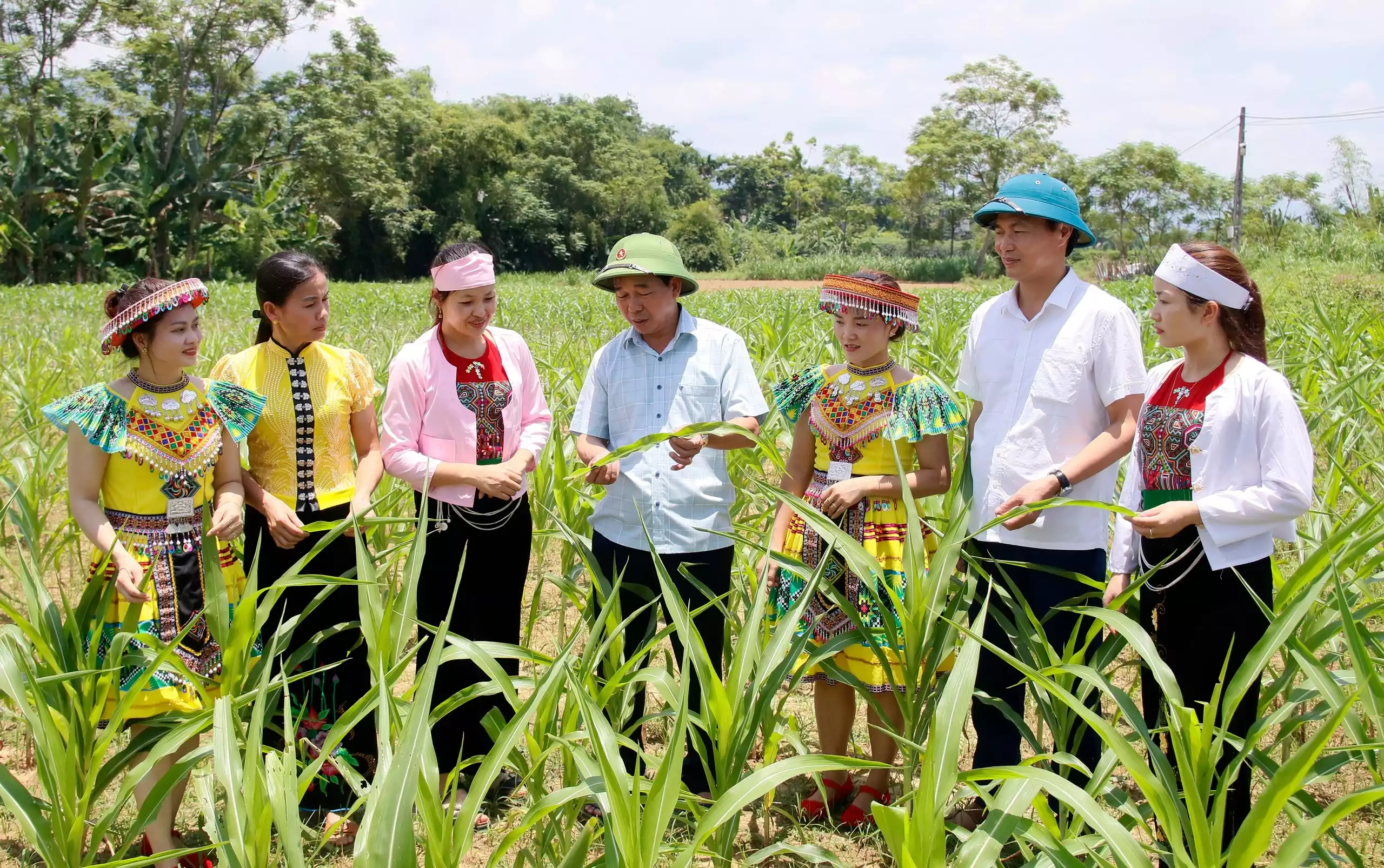Kiểm tra việc thực hiện Chương trình mục tiêu quốc gia