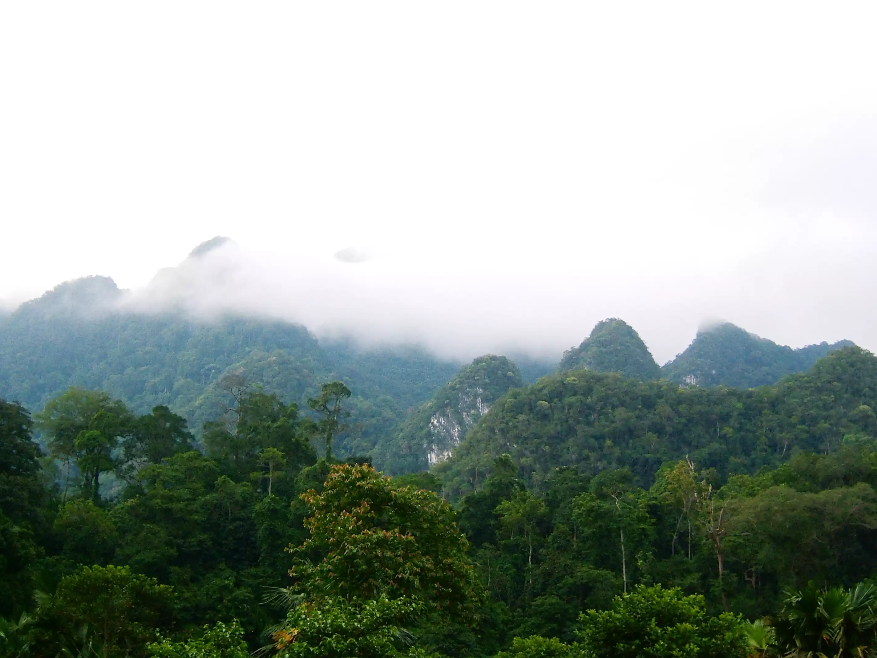 Vườn quốc gia Xuân Sơn – Điểm đến xanh mát giữa lòng Phú Thọ